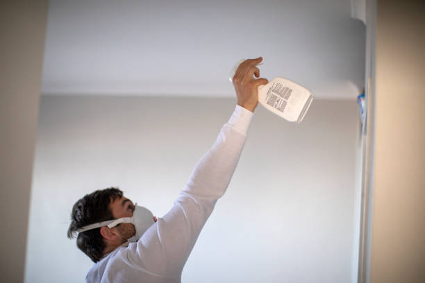Best Mold Testing  in Lake Summerset, IL