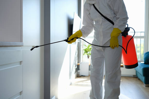 Trusted Lake Summerset, IL Mold Removal Experts