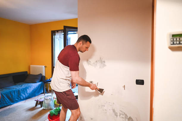 Best Certified Mold Removal  in Lake Summerset, IL